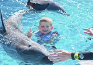 Terapia con delfines para niños con movilidad reducida