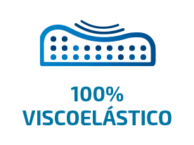 logo-100-visco
